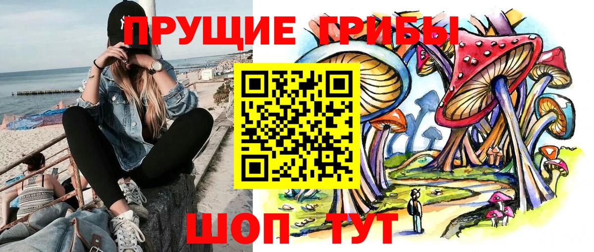 Галлюциногенные грибы ЛСД  как найти закладки  Электрогорск  Вход с VPN 