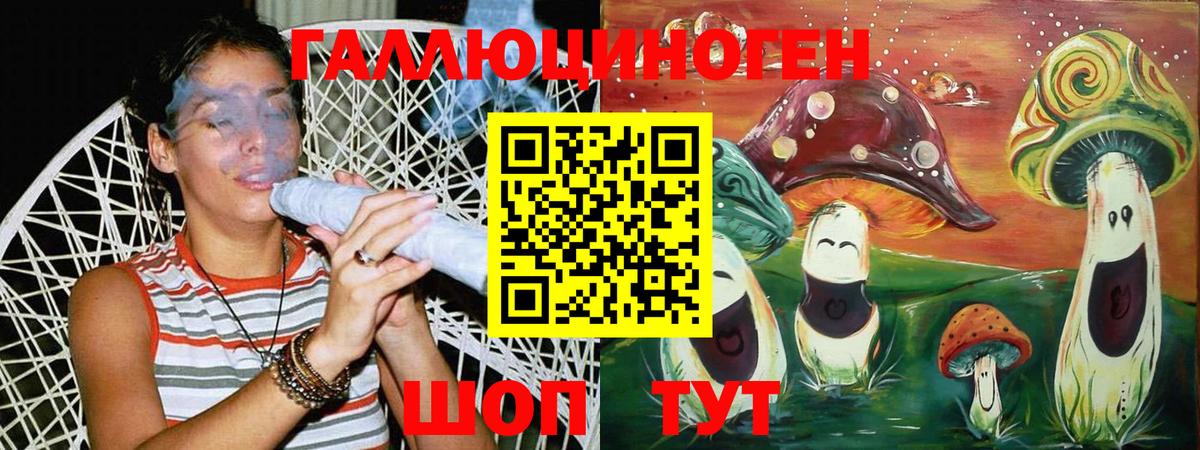 Галлюциногенные грибы Psilocybe Электрогорск